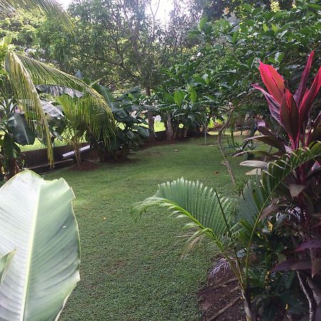 Hotel Sandpiper Jaco Ngoại thất bức ảnh